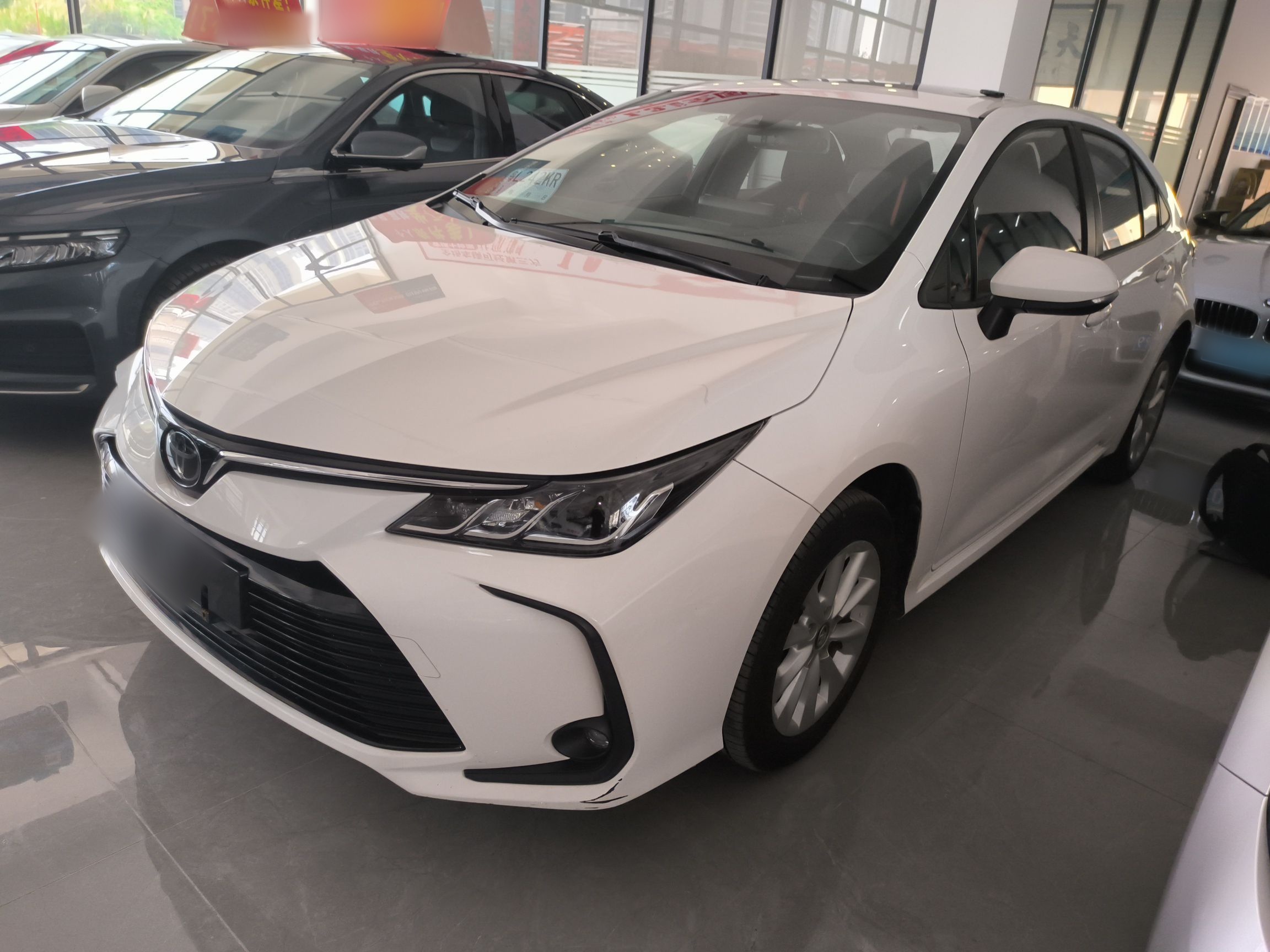 Parte inferior delantera