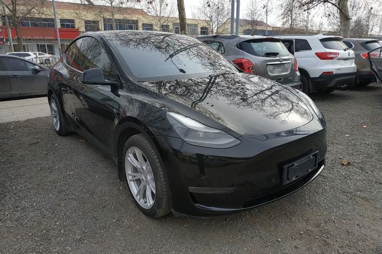 Used Tesla Model Y 2021 Standard Range Rear-Wheel Drive Version
