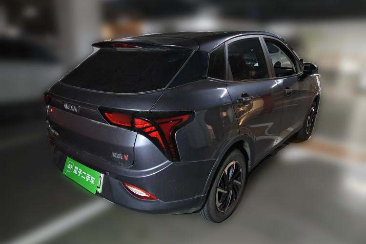 Used NETA V 2021 Long-Range Entertainment Edition Upgrade Model