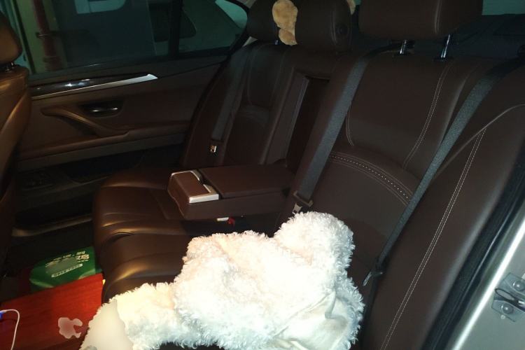 Used BMW 5 Series 2014 525Li Luxury Design Package
