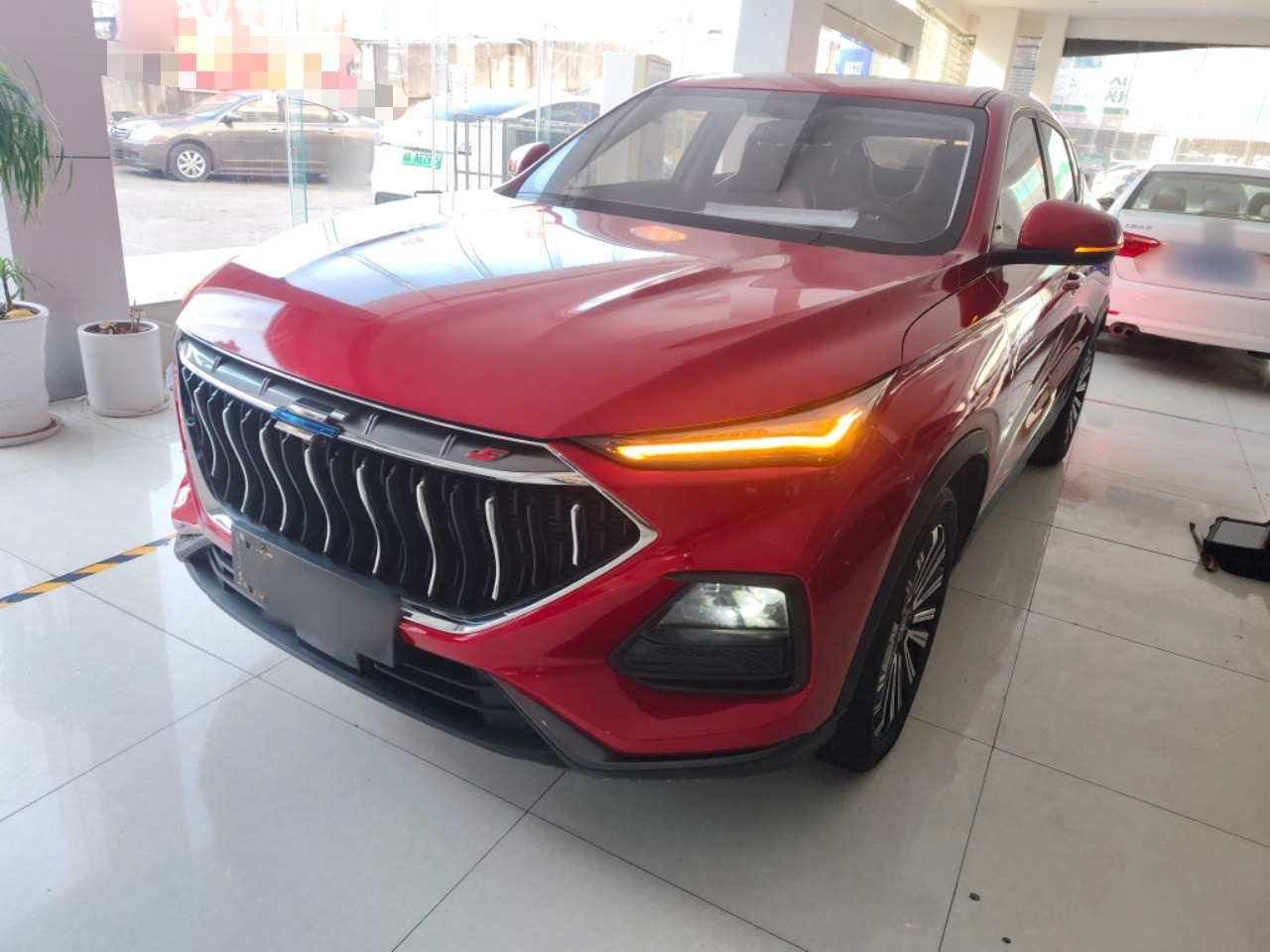 تحت مقدمة السيارة