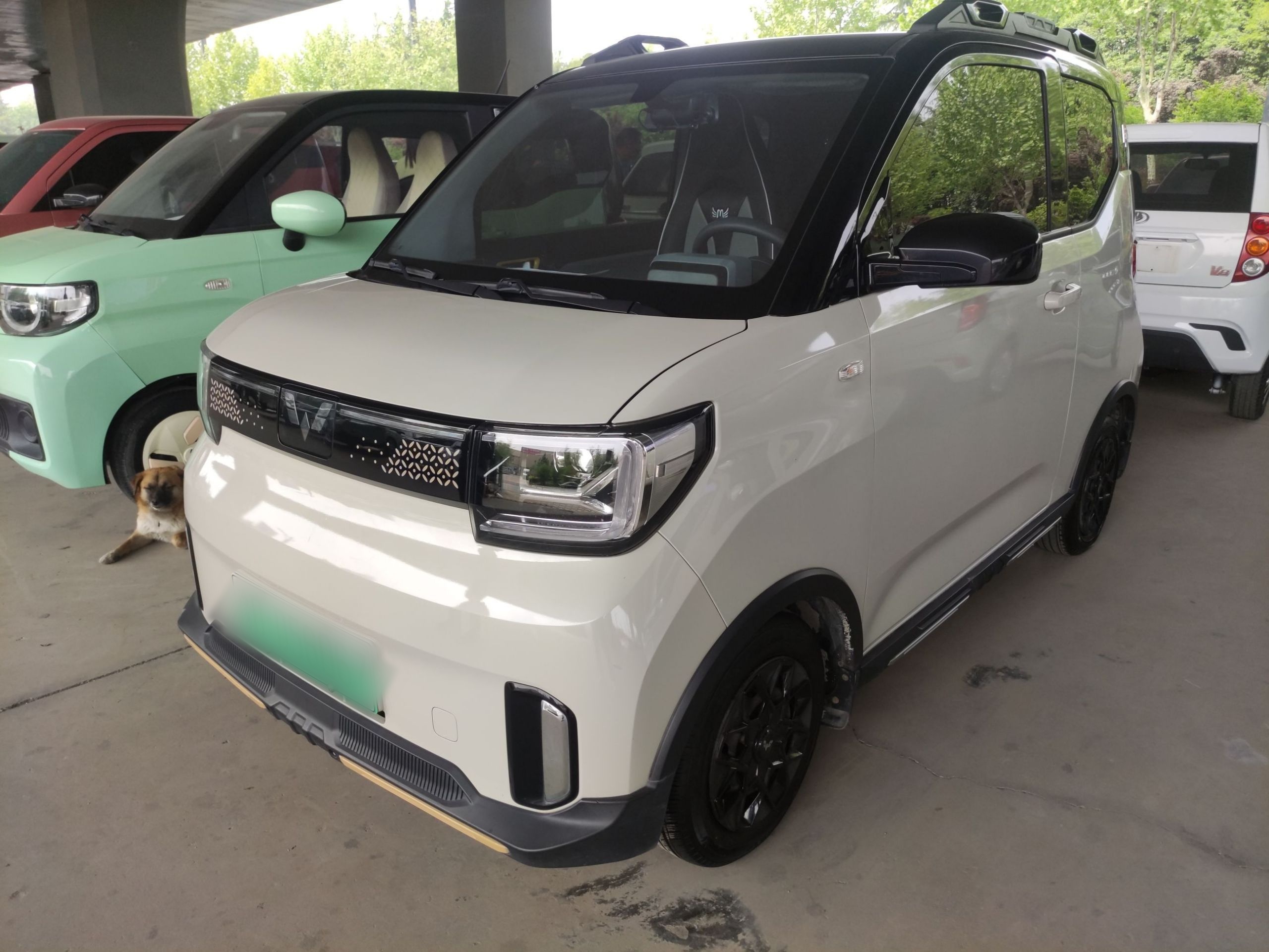 تحت مقدمة السيارة