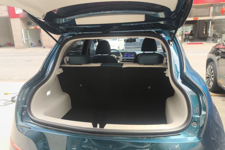 Used ORA Good Cat 2023 401 km Standard Range Luxury Version Lithium Iron Phosphate
