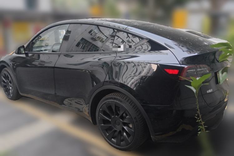 Used Tesla Model Y 2022 Long-Range All-Wheel-Drive Version Rear Left 45 Deg