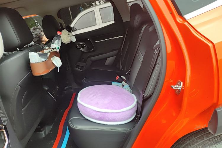 Used Haval H Dog 2023 2.0T Two-Wheel Drive Chaoye Version Plus Left Rear Seat