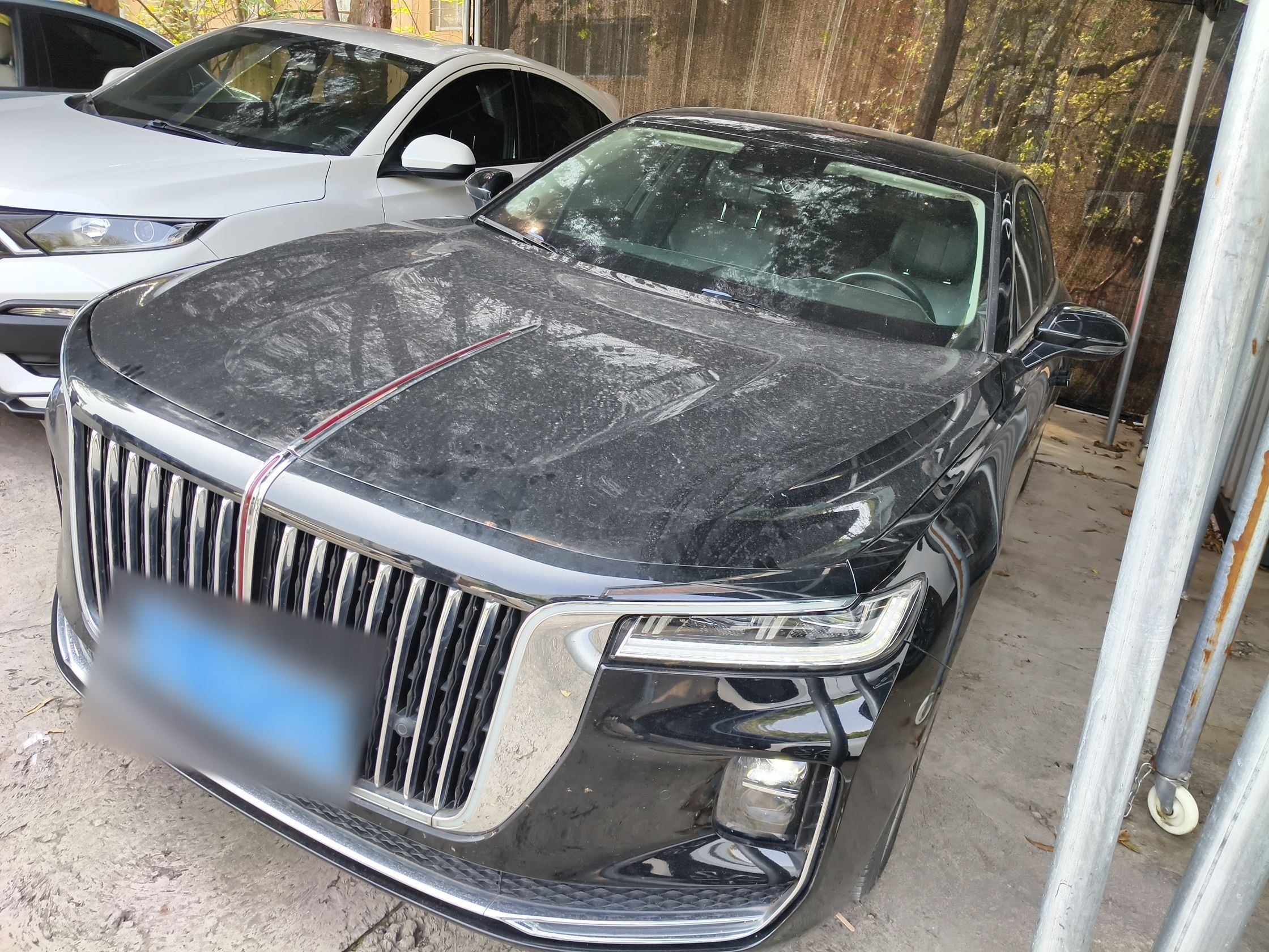 تحت مقدمة السيارة