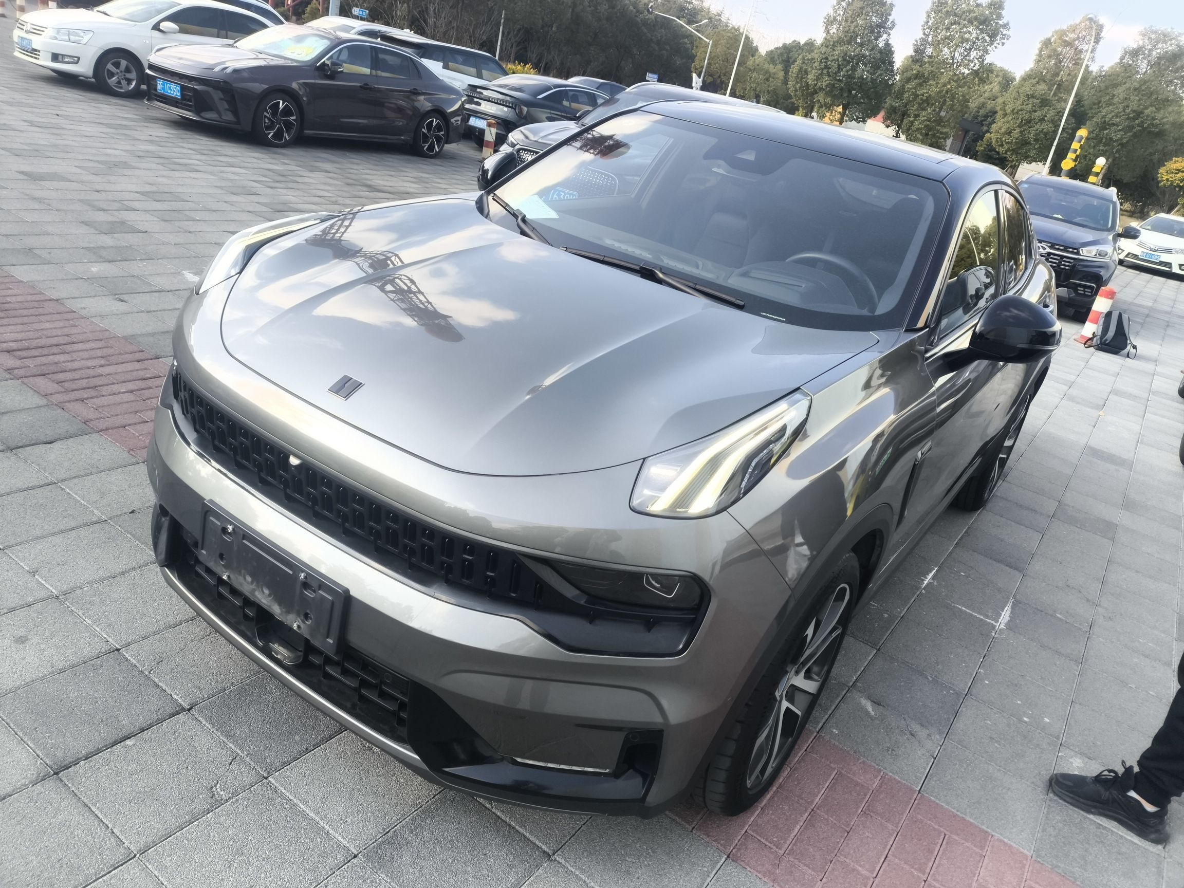 Parte inferior delantera