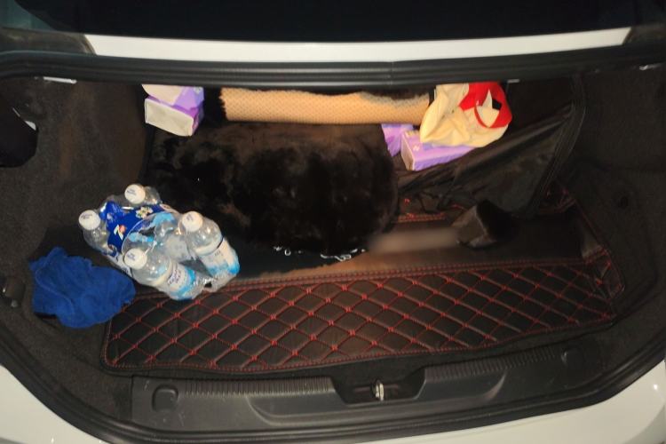 Used Jaguar XEL 2022 2.0T 250 PS R-DYNAMIC S Advanced Sport Edition