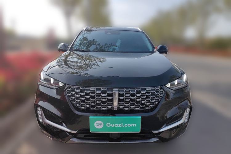 Used Wey VV6 2020 2.0T Two-Wheel Drive Smart Protection+ Front