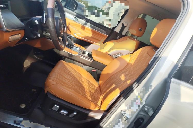 Used Tank 500 2023 3.0T Business Edition "Creation" Style 5 Seats
