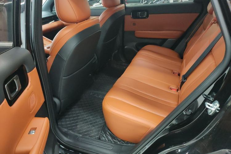 Used Wuling Xingguang S 2025 Model, 130km Flagship Edition Left Rear Seat
