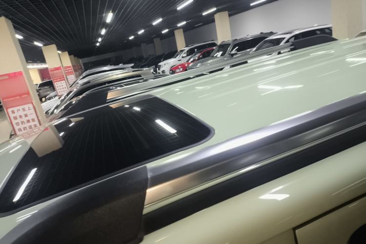 Used Tank 300 2024 2.0T Crosser
