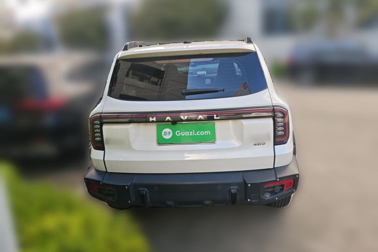 Used Haval DARGO 2024 2.0T DCT Chinese Rural Dog Edition