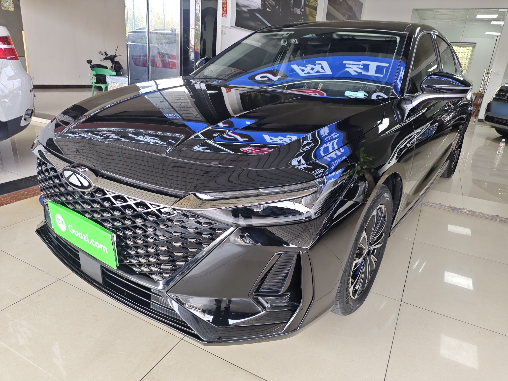 Parte inferior delantera