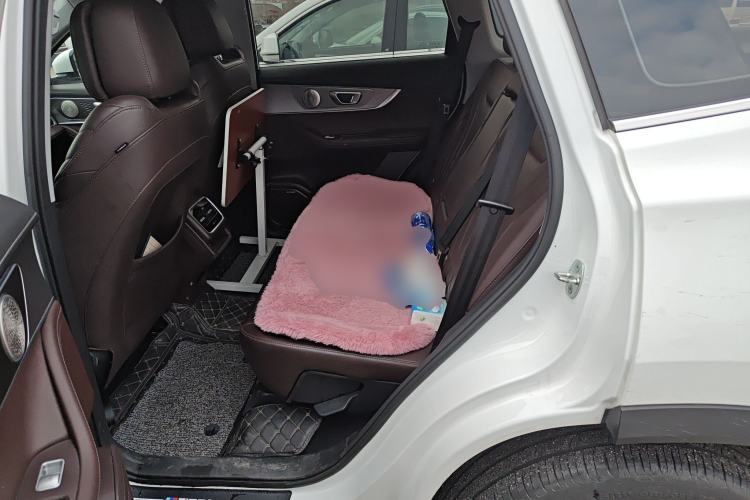 Used Chery Tiggo 8 PRO 2024 Champion Edition 390T Two-Wheel Drive Aoshi Version 5 Seats