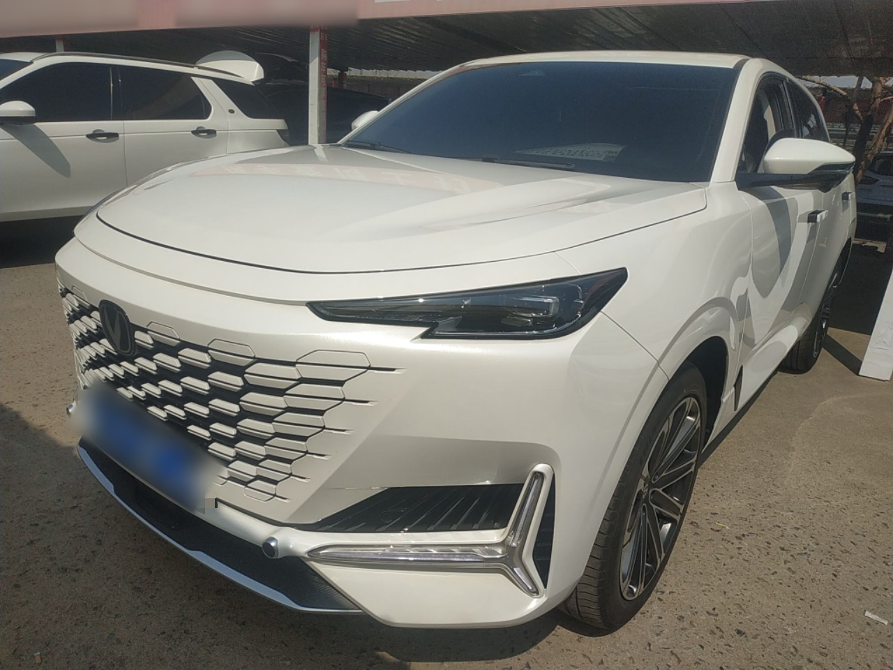 تحت مقدمة السيارة