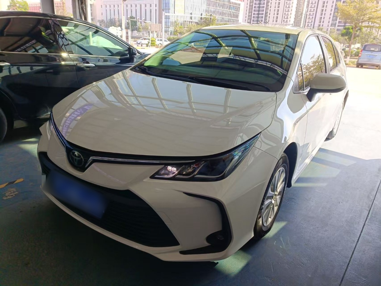 تحت مقدمة السيارة