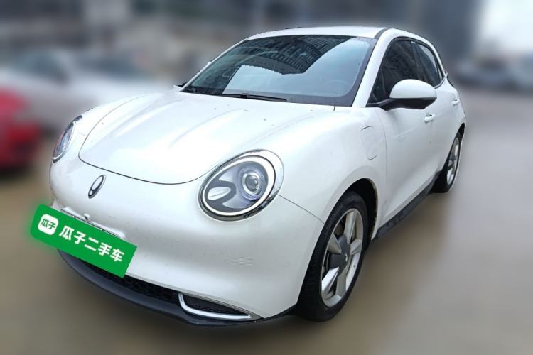 Used ORA Good Cat 2022 400km Standard Range Luxury Version Lithium Iron Phosphate