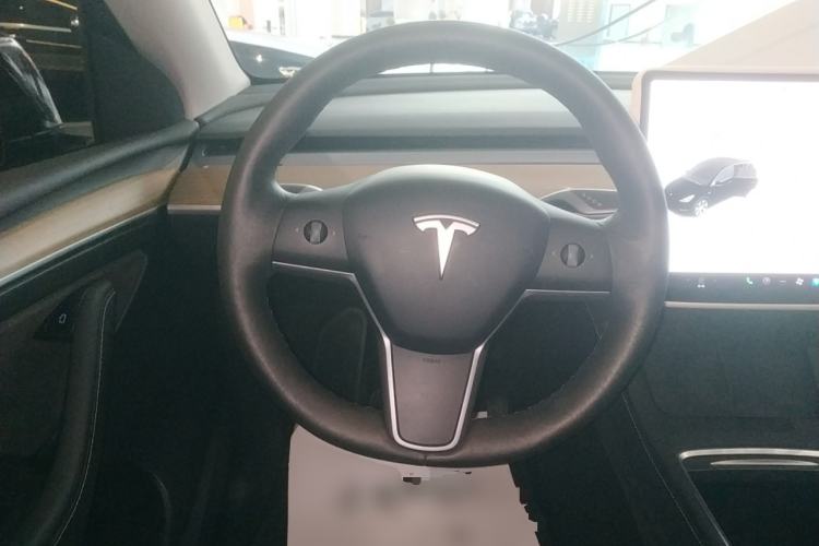 Used Tesla Model Y 2021 Standard Range Rear-Wheel Drive Version
