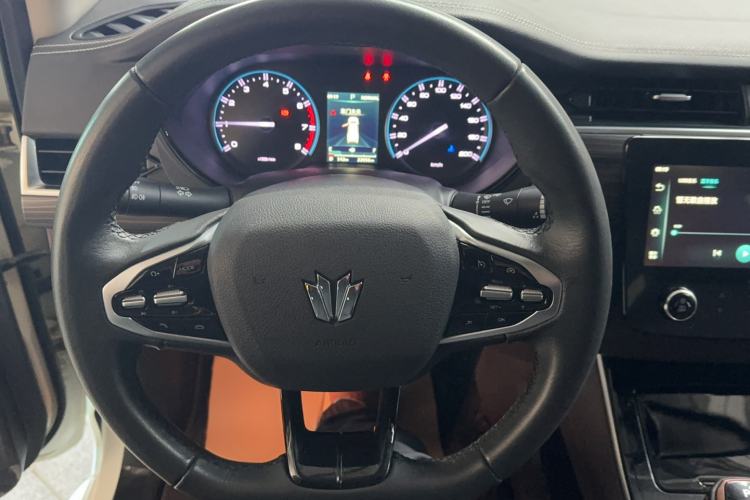 Used Dongfeng Fengdu Paladin 2024 2.0T Four-Wheel Drive Deluxe Edition Dynamic Version
