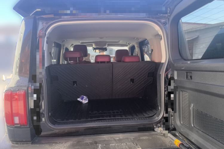 Used Tank 300 2024 2.0T Conqueror