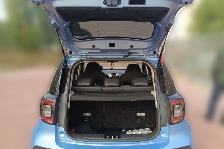 Used SOL E10X 2022 Flower Fairy Design Four-Leaf Clover Trunk