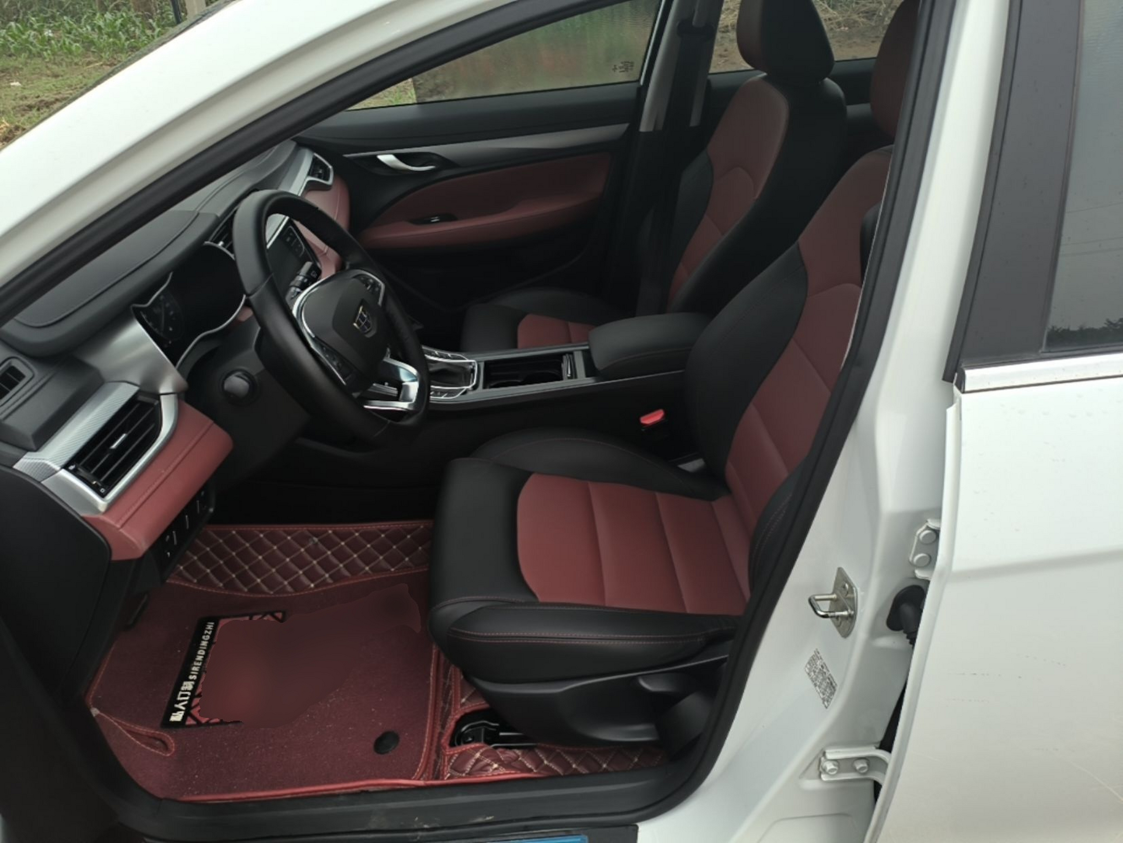 Interior delantero