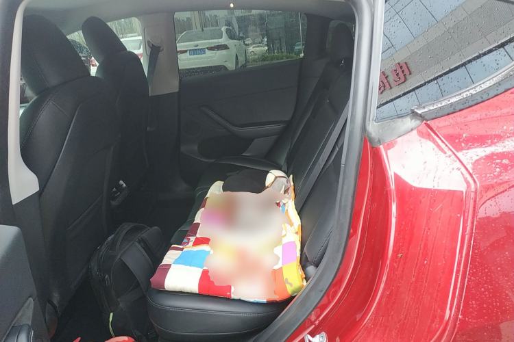 Used Tesla Model Y 2024 Rear-Wheel-Drive Version Left Rear Seat