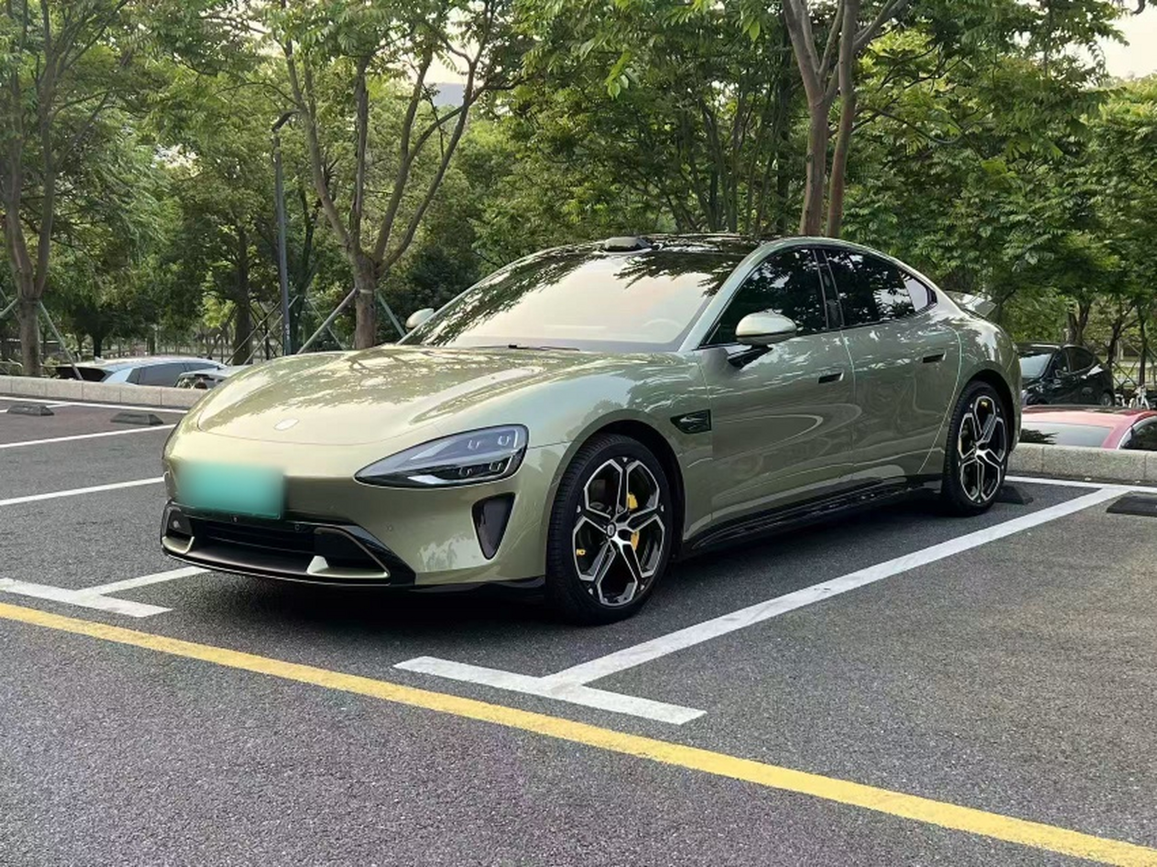 Parte inferior delantera