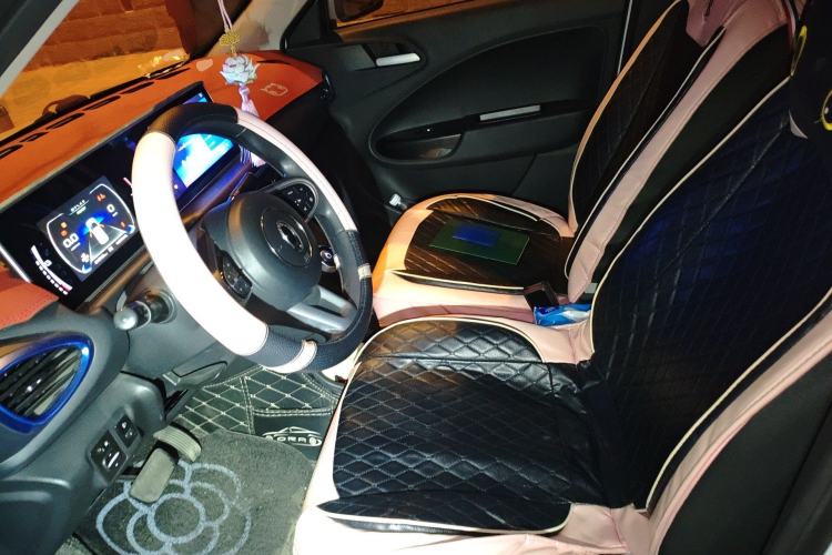 Used ORA White Cat 2020 305 km Luxury Version
