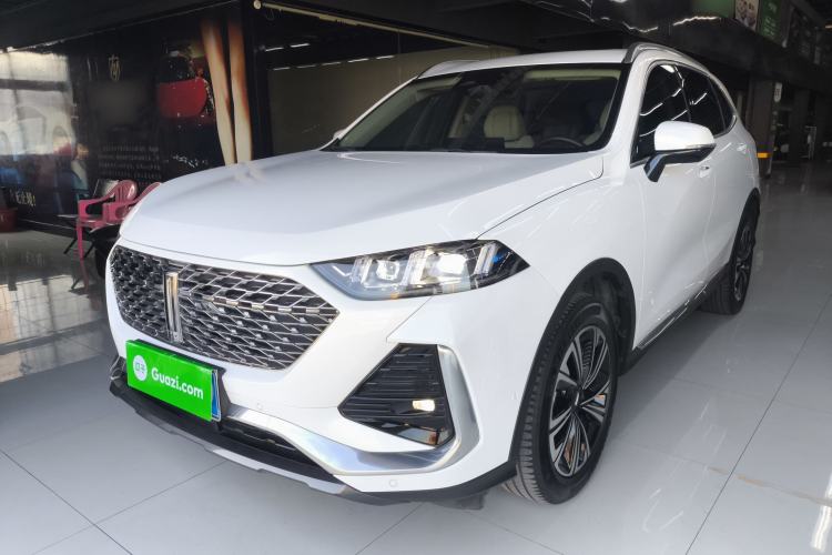 Used Wey Latte DHT-PHEV 2022 1.5T Two-Wheel-Drive Extra-Large Version