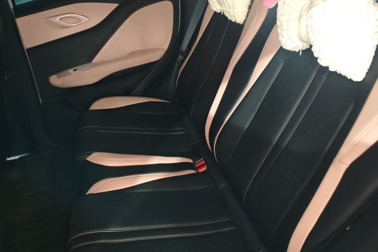 Used BYD Seagull 2024 Honor Edition 305km Dynamic Version Left Rear Seat