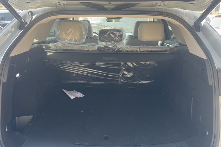 Used Wey Mocha 2021 2.0T Four-Wheel Drive Premium Edition