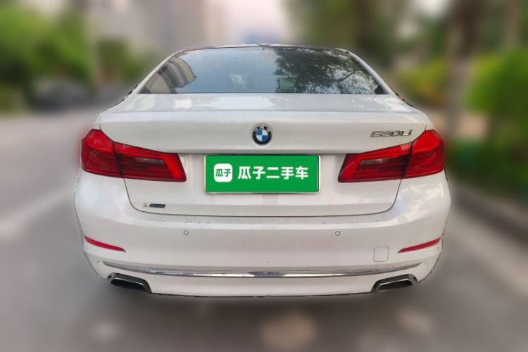 Used BMW 5 Series 2020 530Li xDrive Luxury Package Rear