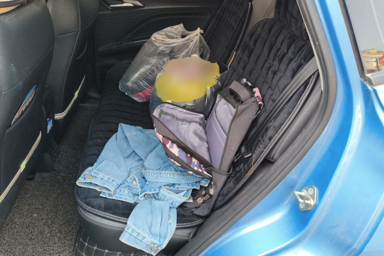 Used NETA V 2022 Chao 300 Lite Lithium Iron Phosphate