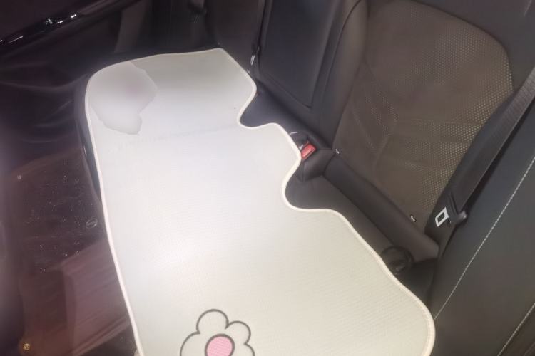 Used Geely Galaxy L6 2024 125km Creative Edition Left Rear Seat