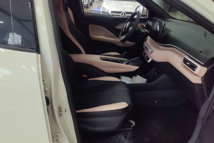 Used BYD Seagull 2025 305km Active Version Right Front Seat