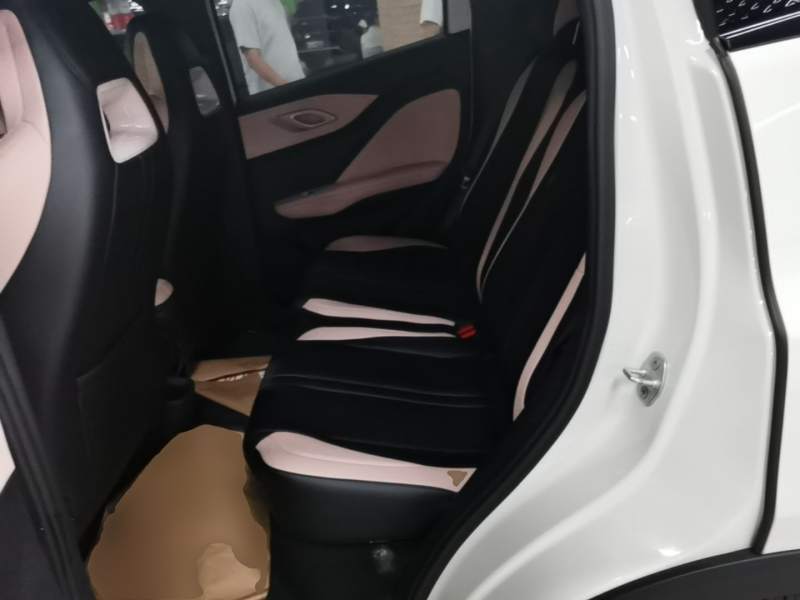 Used BYD Seagull 2025 305 km Free Version — 16