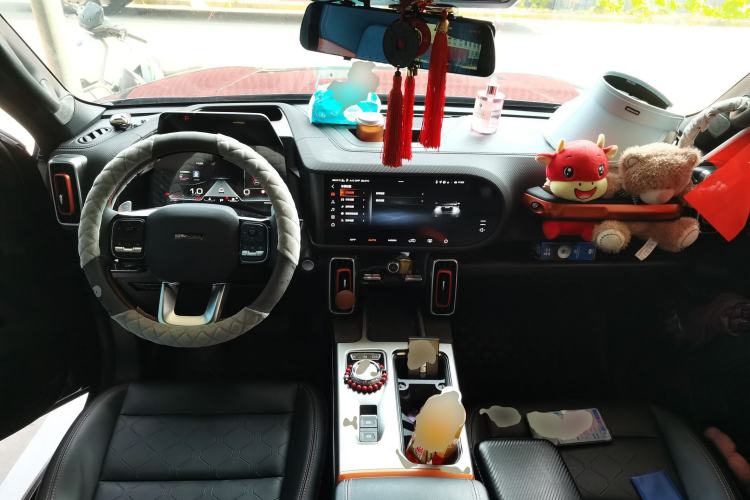 Used Haval DARGO 2024 2.0T DCT Chinese Rural Dog Edition
