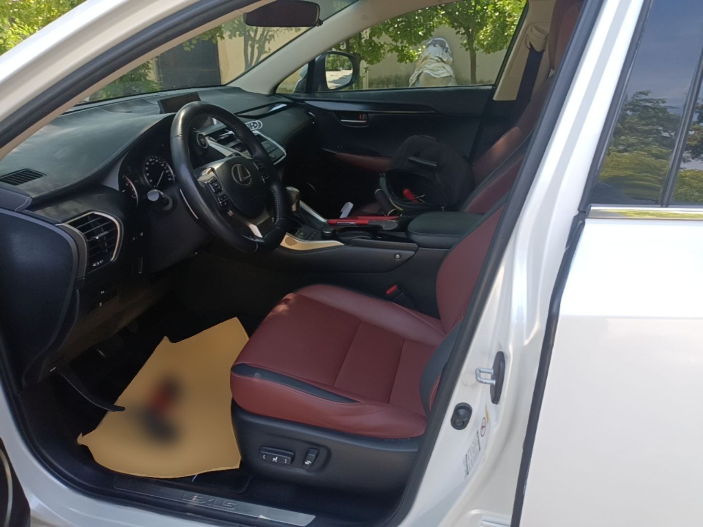 Interior delantero