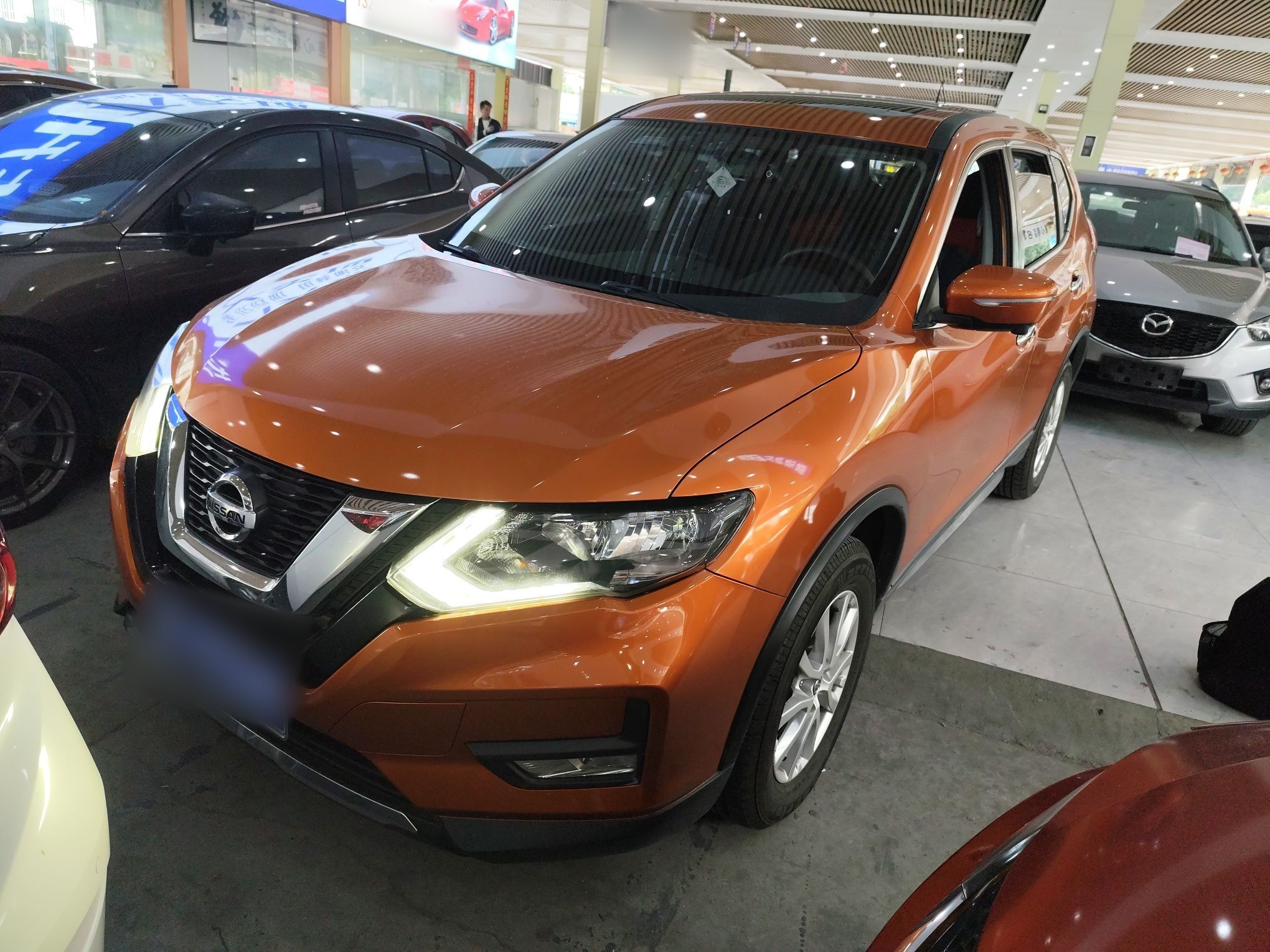 Parte inferior delantera