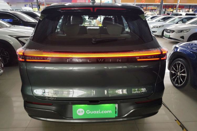 Used Fengyun T8 2025 1.5T 130km Deluxe Version 5 Seats Rear