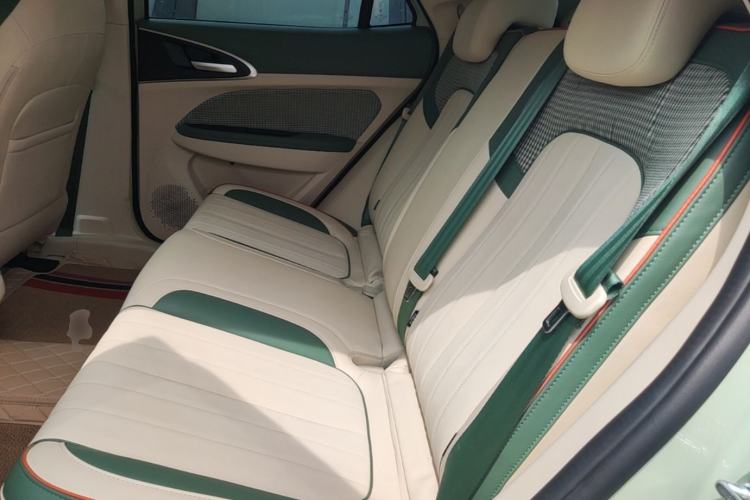 Used ORA Good Cat 2022 400km Standard Range Premium Version Lithium Iron Phosphate Left Rear Seat