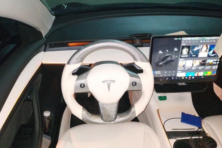 Used Tesla Model 3 2022 Rear-Wheel-Drive Version