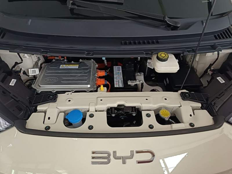 Used BYD Seagull 2025 305 km Free Version — 19