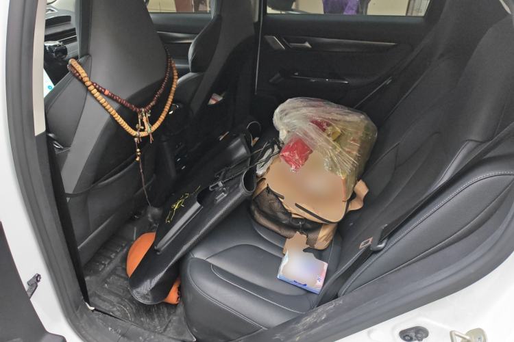 Used XPeng G3 2020 460 Enjoyment Edition Left Rear Seat