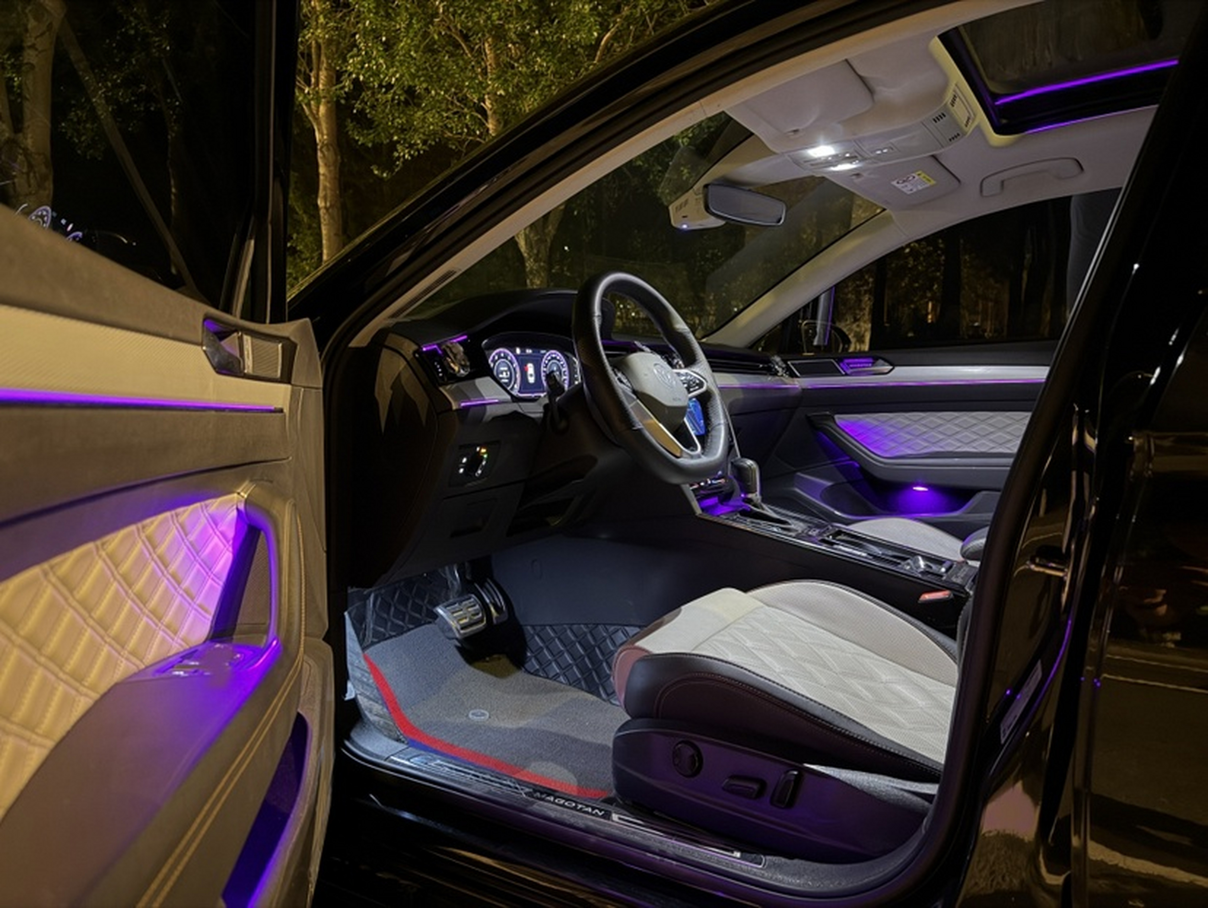 Interior delantero