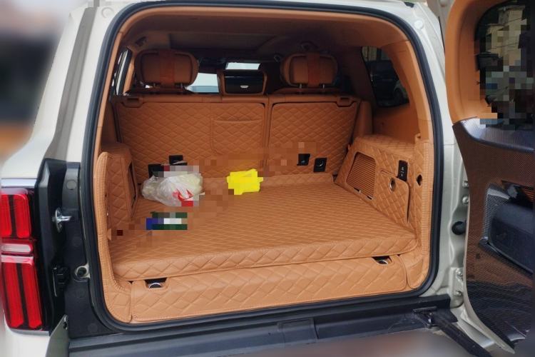 Used Tank 500 New Energy 2024 Hi4-T