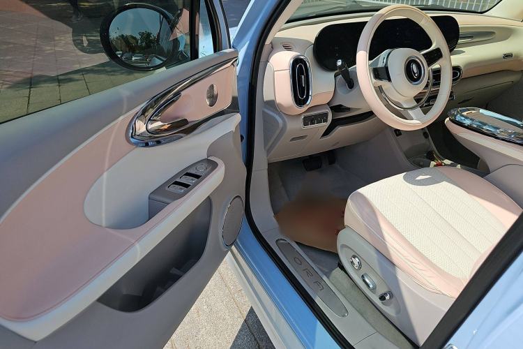 Used ORA Ballet Cat 2022 401 km Nutcracker Edition
