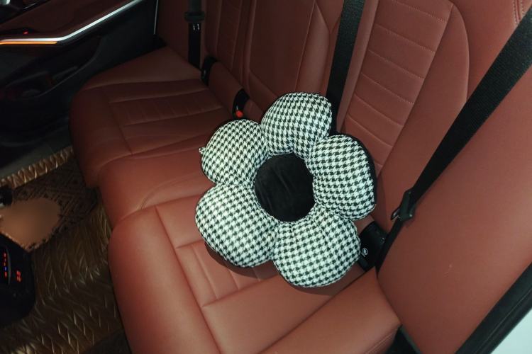 Used BMW 3 Series 2021 325Li M Sport Package
